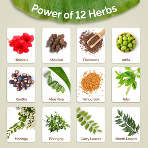 Mamaearth Kerala Thaali shampoo enriched with 12 potent herbs