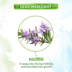 rosemary essential oil price and ingredients