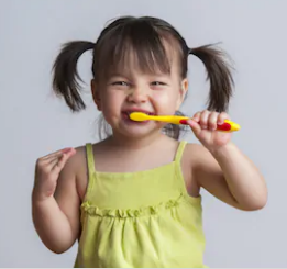 Cleanses Teeth Perfectly
