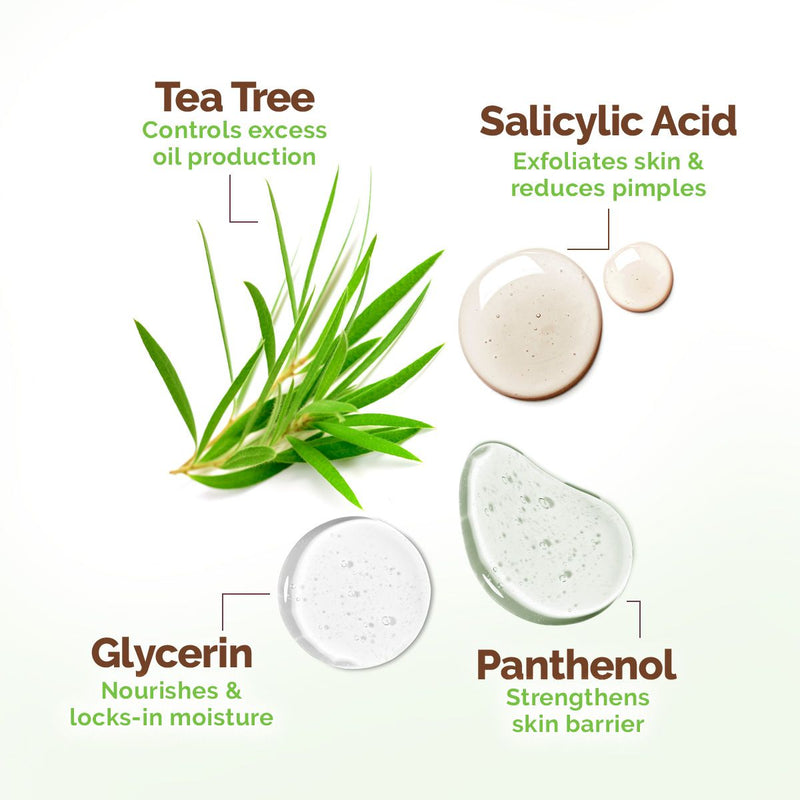 Tea Tree Oil Control Face Pack with Tea Tree & Salicylic Acid for Normal to Oily Skin - 200 g