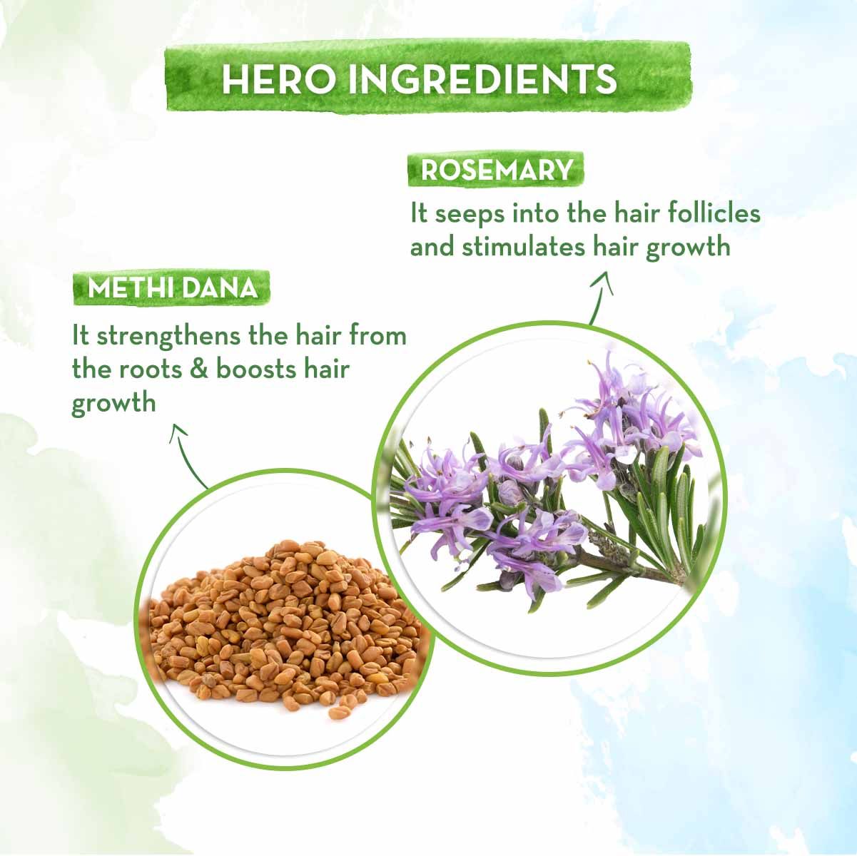 Rosemary Hair Strengthening Duo - 850 ml