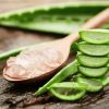 Aloe Vera :