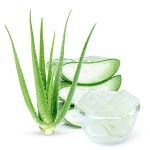 Aloe Vera: