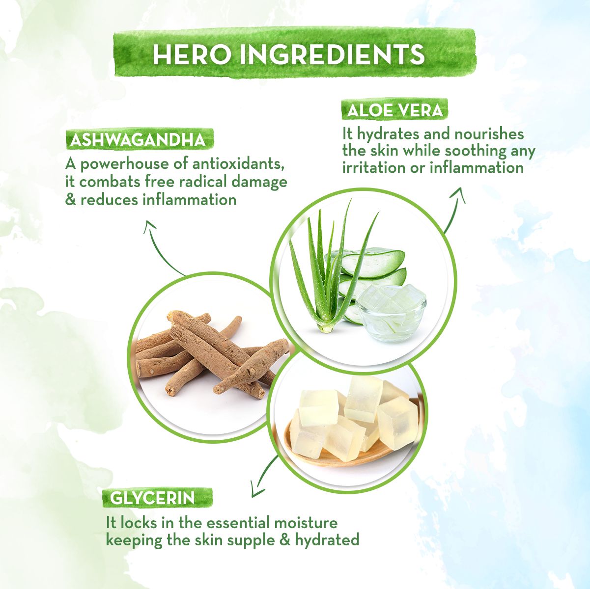Aloe Vera Gel Moisturizer with Aloe Vera & Ashwagandha for a Youthful Glow - 100 g