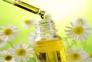 Daisy Flower Extract :