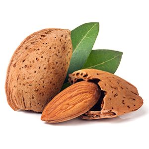 Sweet Almond Oil: