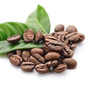 Coffee : With excellent antioxidant and anti-inflammatory properties, Coffee soothes the skin, tightens pores, and promotes even skin tone by reversing the harmful effects of sun exposure.