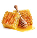 Honey::