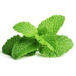Peppermint::