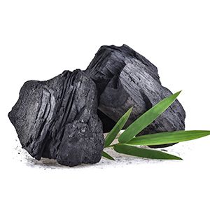 Activated Charcoal :