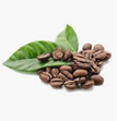 Coffee: