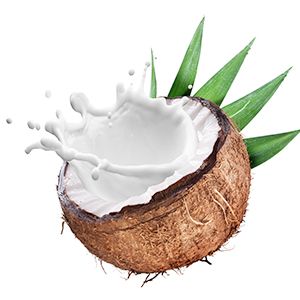 Coconut Milk: