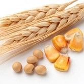Hydrolyzed Keratin: