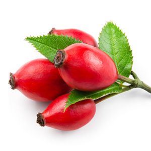 Rosehip: