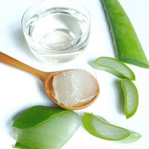 Aloe Vera :