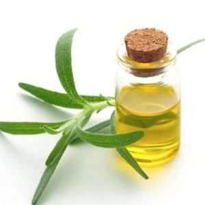 Rosemary Leaf Oil: