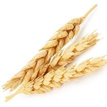 Wheat Amino Acids :