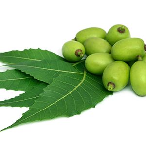 Neem: