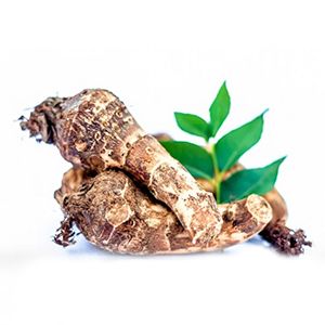 Mulberry Root: