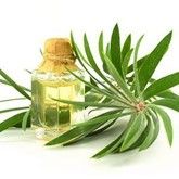 Tea Tree Oil :