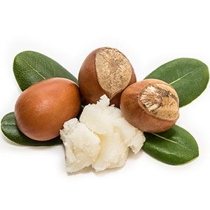 Shea Butter: