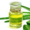 Aloe Vera :