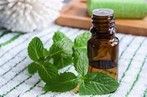 Peppermint Oil :