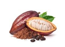 Cocoa:
