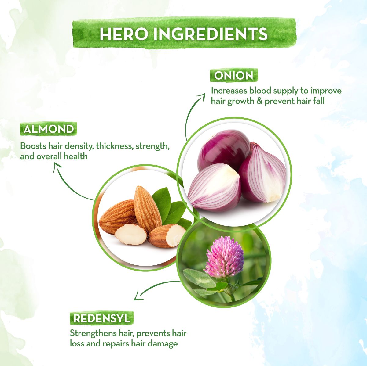 Onion Hair Oil with Onion Oil & Redensyl for Hair Fall Control - 150 ml
