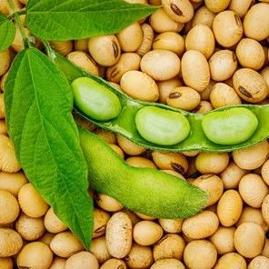 Soy Amino Acids :