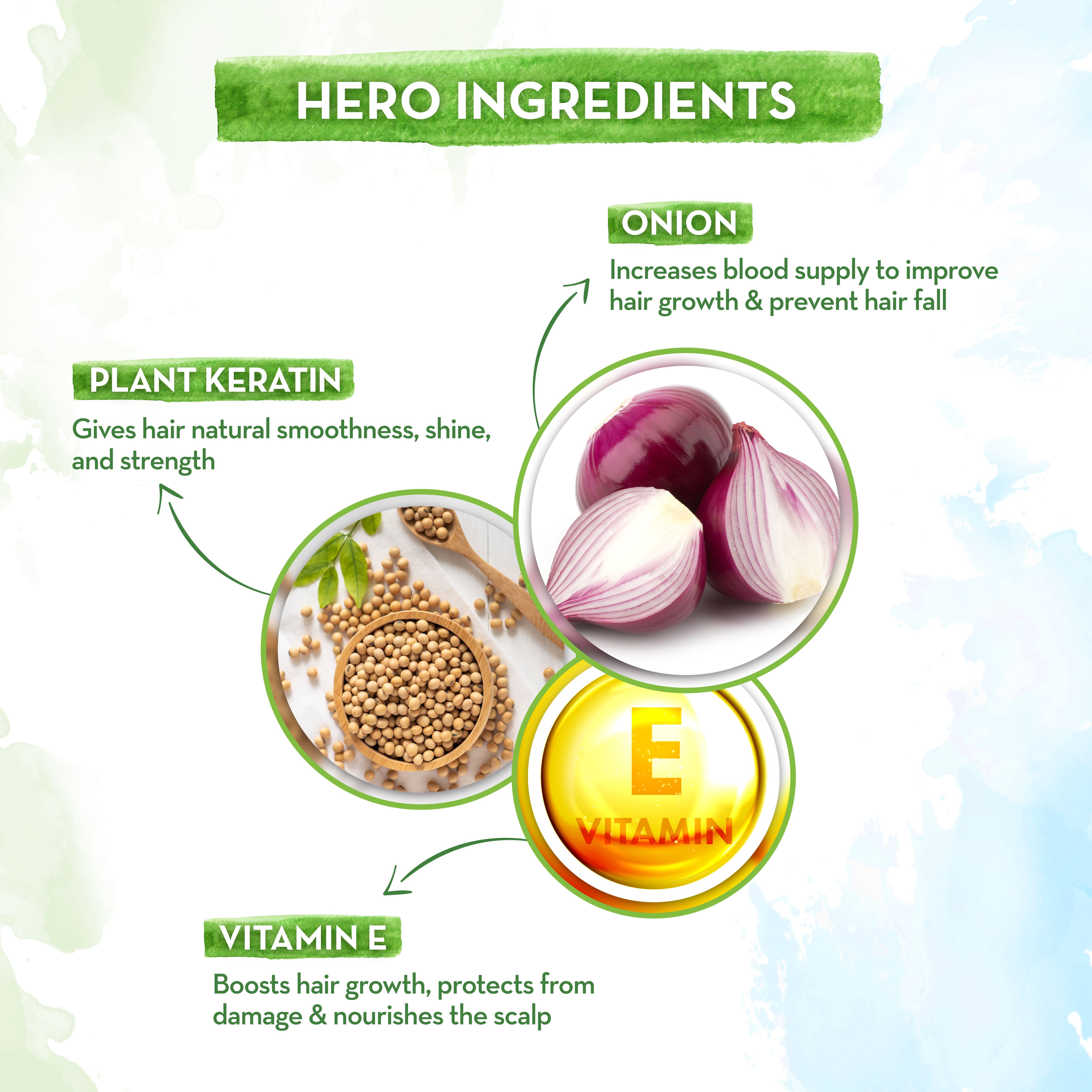Onion Shampoo with Onion & Plant Keratin for Hair Fall Control - 400ml