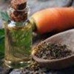 Carrot Seed Oil: