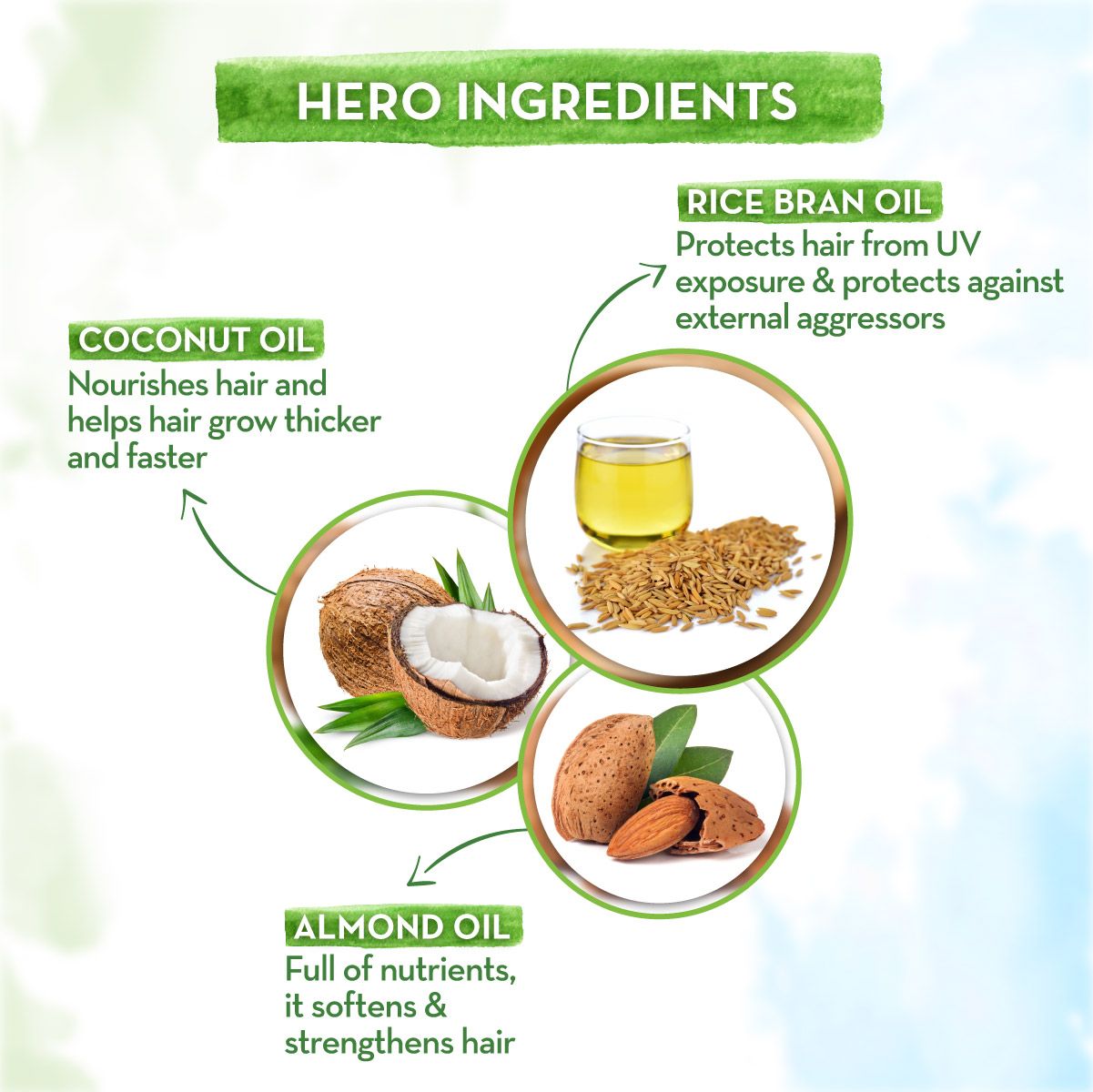 Rice Hair Oil with Rice Bran and Coconut Oil For Damage Repair - 150ml