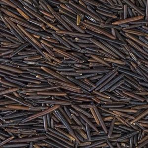 Black Oats: