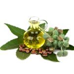 Castor Oil: