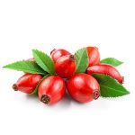 Rosehip: