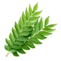 Curry Leaves: