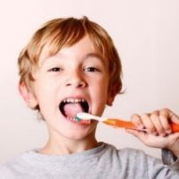 CLEANSES TEETH PERFECTLY