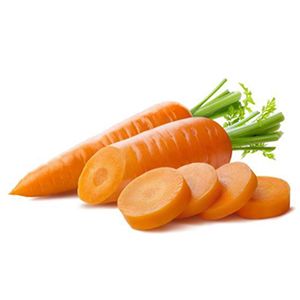 Carrot Seed Oil :