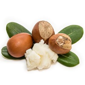 Shea Butter :