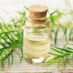 Tea Tree :