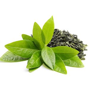 Green Tea: