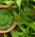 Neem Oil: