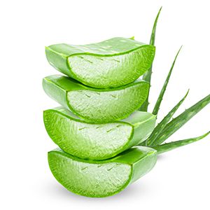 Aloe Vera:
