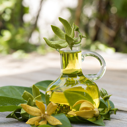 Cananga Oil :