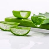 Aloe Vera :