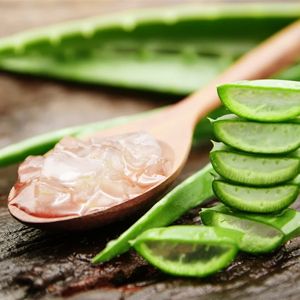 Aloe Vera Extract :