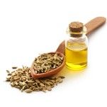 Fennel Oil –